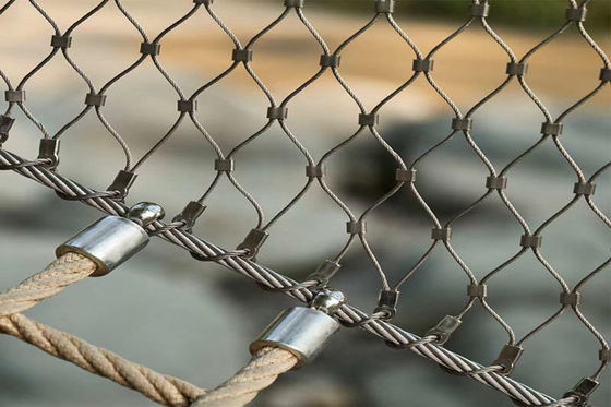 Quality Wire Rope Mesh & Zoo Wire Mesh factory from China