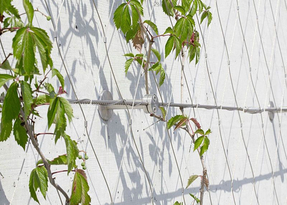 SS 316 Aviary Wire Netting for Birds - Stainless Steel Zoo Fencing