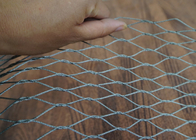 Customized Flexible Stainless Steel Aviary Mesh For Bird Netting 30x30 Mm Hole