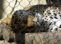 Monkey Tiger Zoo 1.2mm 7 X 7 Animal Enclosure Mesh