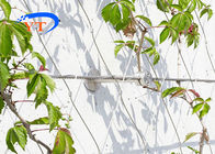Security Artificial Wire Trellis For Climbing Plants