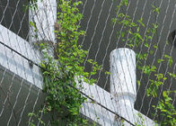 Stainless Steel Rope Mesh / Plant Trellis Or Construction Building Facade Safety Net