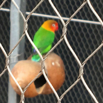 316 Rope Zoo Fencing Mesh Stainless Steel Flexible Aviary Wire Netting