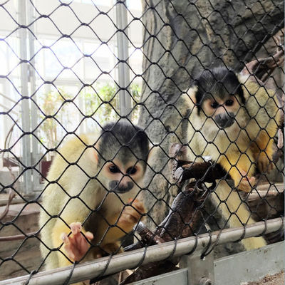 2mm Stainless Steel Wire Rope Mesh Net Stainless Steel Aviary Net
