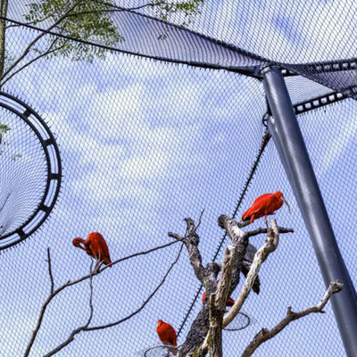 Flexible Stainless Steel Rope Mesh / Wire Rope Net For Bird Aviary