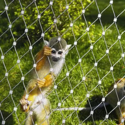 316 Stainless Steel Wire Rope Netting For Zoo Aviary Enclosure Mesh