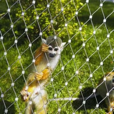 Bite Resistant Black Oxide Stainless Steel Wire Rope Mesh with Good Light Transmission for Zoo Animal Cages