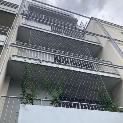 SUS 304/316 Stainless Steel Wire Rope Mesh with Customizable Mesh Aperture and Anti-Corrosion for Scenic Area Protection