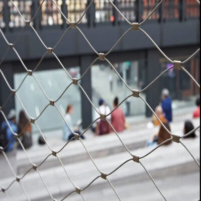 Corrosion Resistant Stainless Steel Cable Mesh for Vertical Greening with Customizable Size and Fall Prevention