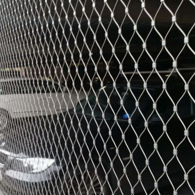 High Strength Stainless Steel 304/316/316L Wire Rope Mesh with Customized Size for Anti-Fall and Plant Trellis