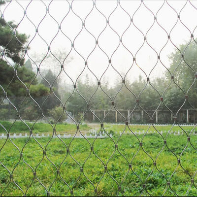 304/316 Stainless Steel Wire Rope Mesh for Construction Safety Fall Protection with Customized Size and Corrosion Resistance