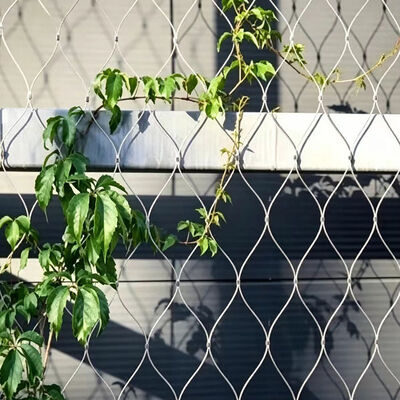 Corrosion Resistant Stainless Steel Wire Rope Mesh for Fall Prevention with Customizable Size