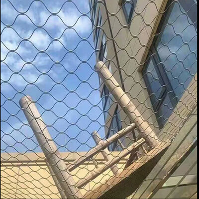 High Strength Stainless Steel 304/316/316L Wire Rope Mesh with Customized Size for Anti-Fall and Plant Trellis