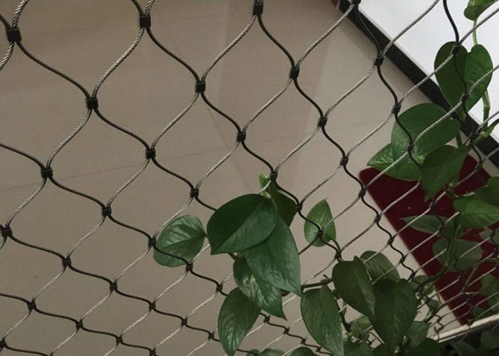 Stainless Steel Wire Rope Plant Trellis Systems Climbing Net Customized Size