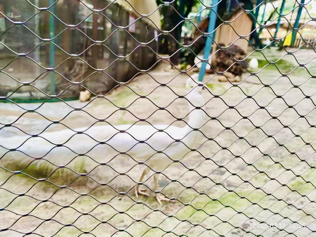 Rope Zoo Fencing Netting Stainless Steel Rope Bird Aviary Netting