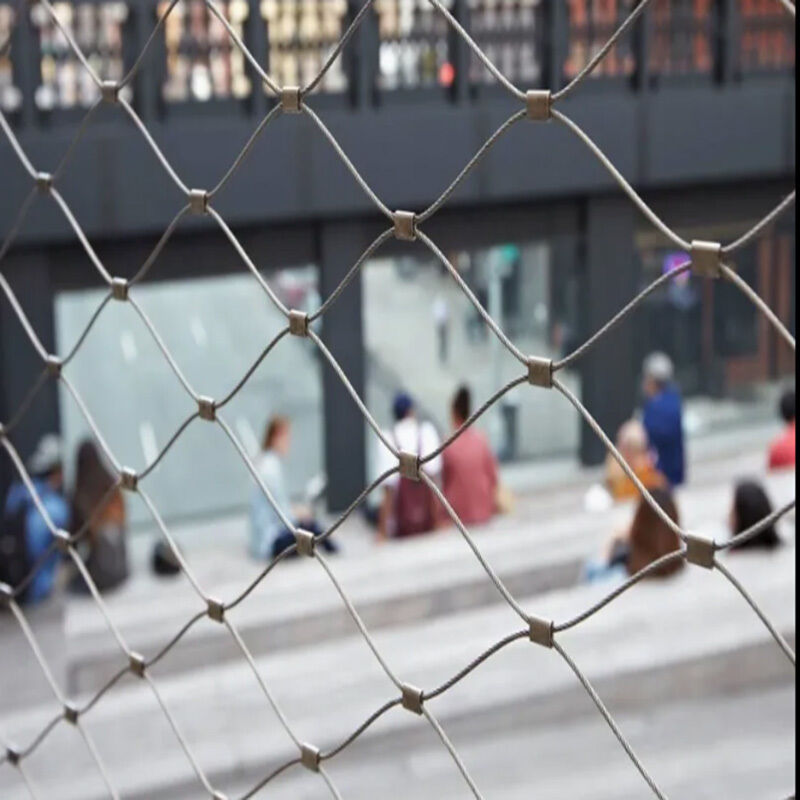 Corrosion Resistant Stainless Steel Cable Mesh for Vertical Greening with Customizable Size and Fall Prevention