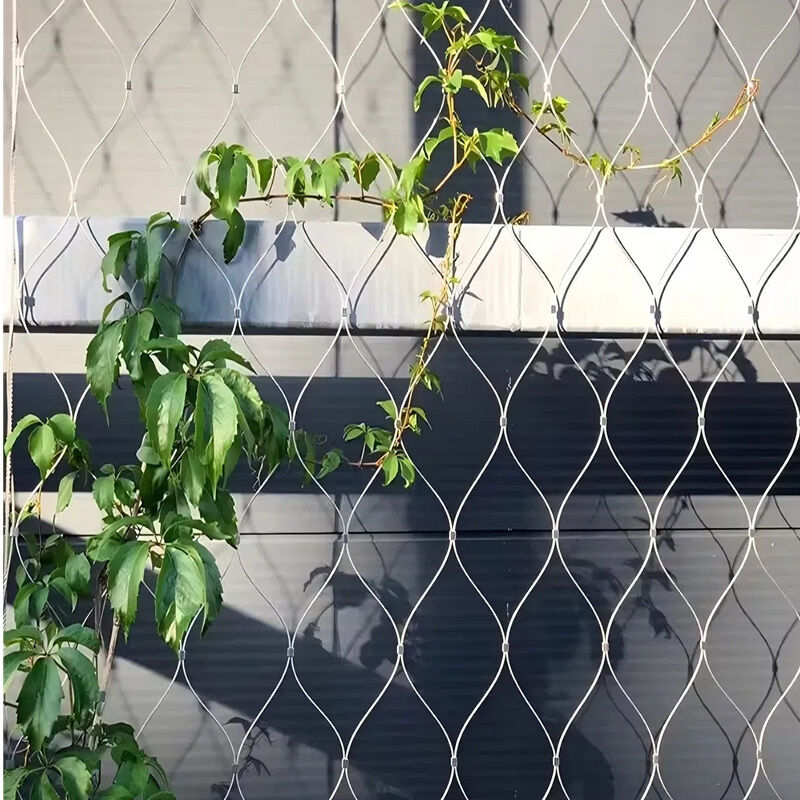 Diamond-shaped Hole Corrosion Resistant Customizable Size Wire Rope Plant Trellis Stainless Steel Cable Mesh