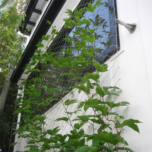 Eco Green Wall 1.2mm Stainless Steel Wire Rope Mesh For Green Facade
