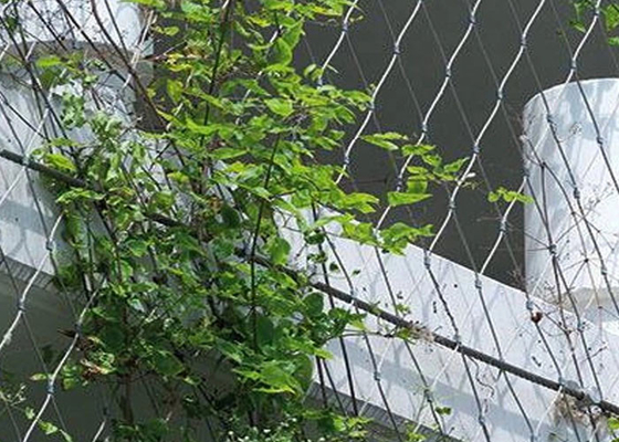 AISI316 2.5mm Steel Wire Netting For Climbing Plants Corrosion Proof