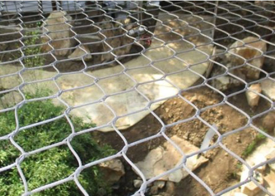 High Durability SUS316 Enclosed Zoo Wire Mesh Animal Wire Mesh