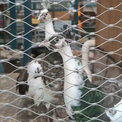 Aviary Wire Netting Flexible Wire Rope Cable Mesh For Zoo Enclosure