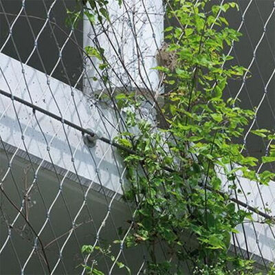 Stainless Steel Cable Mesh Wire Rope Plant Trellis - Customizable Size, Corrosion Resistant, Fall Prevention Green Wall Mesh