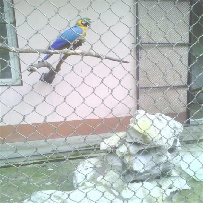 Curated visual reference: Visual Reference: Protection Parrot Aviary Mesh Environmental Enclosure Rust Resistant