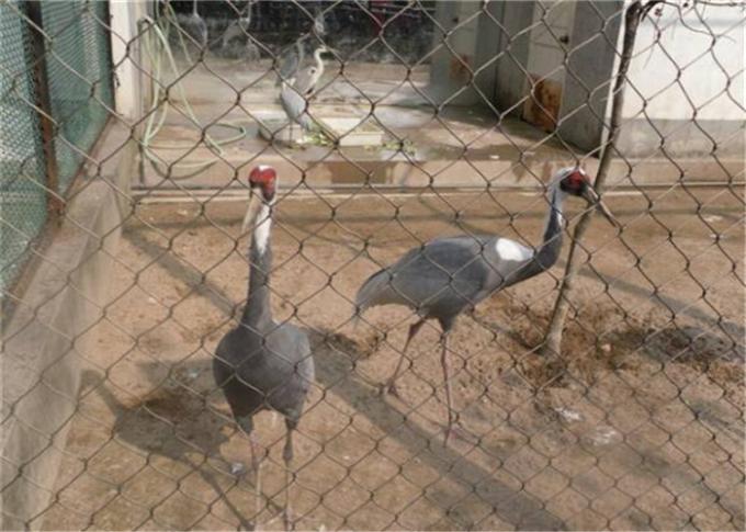 High Strength Bird Safety Netting For Aviaries Reference: Black Oxide 304 Stainless Steel Aviary Netting High Strength Rope