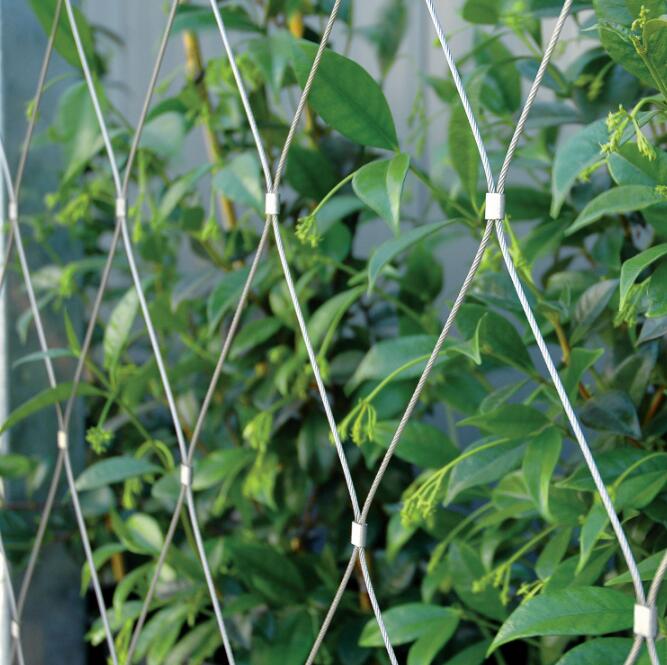 Stainless Steel Wire Rope Plant Trellis Systems Climbing Net Customized
