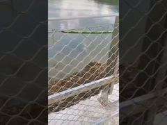 Wire Rope Mesh Fence