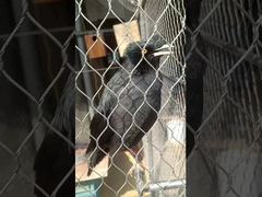 Durable Soft Ferrule Type Flexible Metal Strong Stainless Steel knotted Rope Net