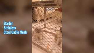 Border Stainless Steel Cable Mesh