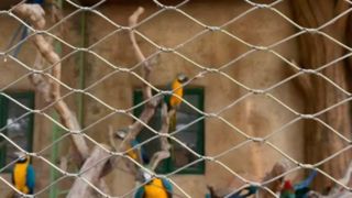 What does a woven stainless steel wire cable mesh look like